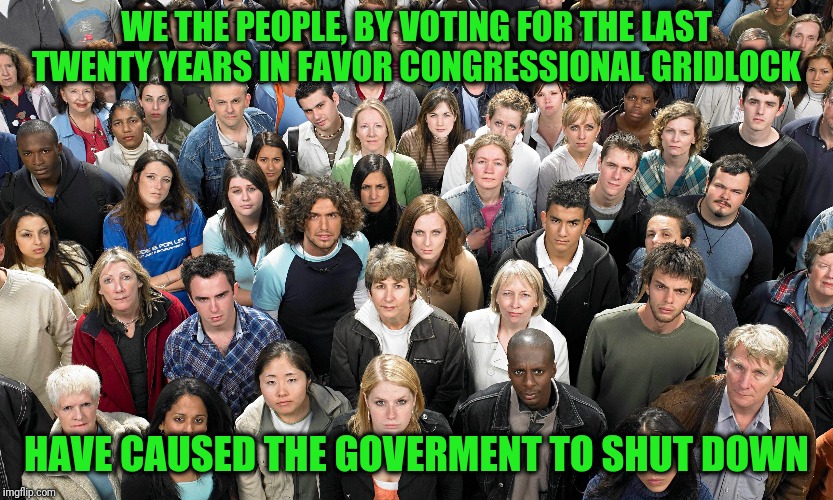 It's not Trump or the Dems; it's you and me | WE THE PEOPLE, BY VOTING FOR THE LAST TWENTY YEARS IN FAVOR CONGRESSIONAL GRIDLOCK; HAVE CAUSED THE GOVERMENT TO SHUT DOWN | image tagged in people | made w/ Imgflip meme maker