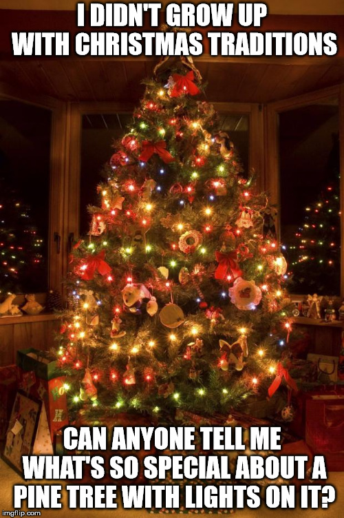 Christmas Tree | I DIDN'T GROW UP WITH CHRISTMAS TRADITIONS; CAN ANYONE TELL ME WHAT'S SO SPECIAL ABOUT A PINE TREE WITH LIGHTS ON IT? | image tagged in christmas tree | made w/ Imgflip meme maker