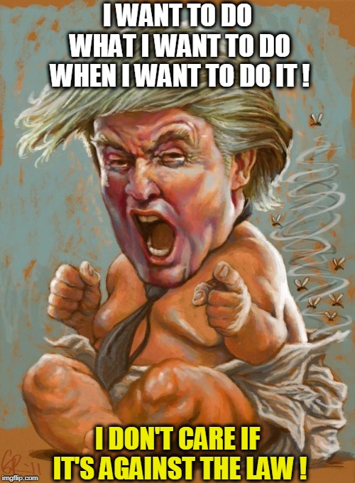 Didn't his mother ever say "no" to him? | I WANT TO DO WHAT I WANT TO DO WHEN I WANT TO DO IT ! I DON'T CARE IF IT'S AGAINST THE LAW ! | image tagged in trump,infant,child,juvenile,law,legal | made w/ Imgflip meme maker
