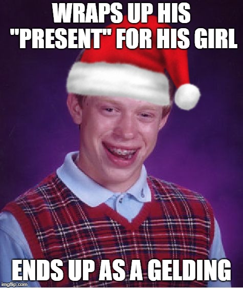 What a stud... | WRAPS UP HIS "PRESENT" FOR HIS GIRL; ENDS UP AS A GELDING | image tagged in bad luck brian,horse,beating a dead horse,idiot | made w/ Imgflip meme maker