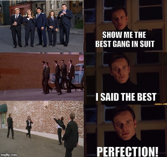 perfection | SHOW ME THE BEST GANG IN SUIT; I SAID THE BEST; PERFECTION! | image tagged in perfection | made w/ Imgflip meme maker