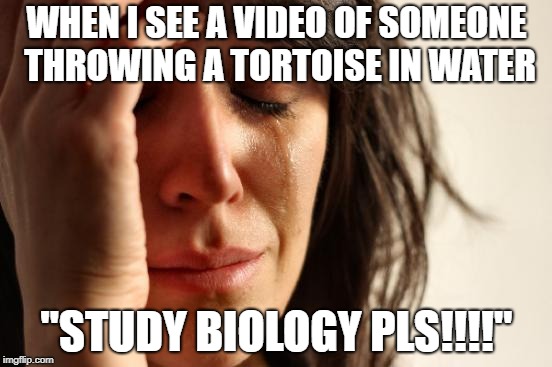 First World Problems Meme | WHEN I SEE A VIDEO OF SOMEONE THROWING A TORTOISE IN WATER; "STUDY BIOLOGY PLS!!!!" | image tagged in memes,first world problems,tortoise,funny,funny memes | made w/ Imgflip meme maker