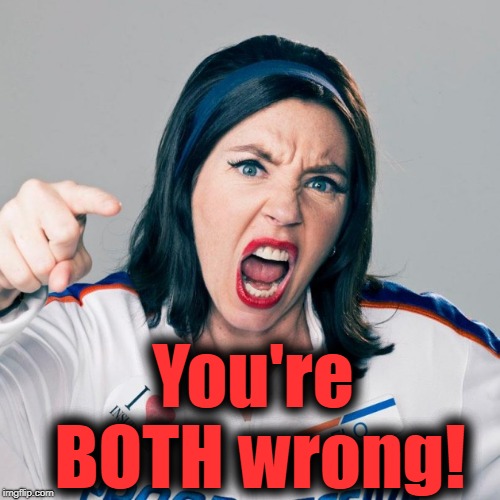 Flo Progressive | You're BOTH wrong! | image tagged in flo progressive | made w/ Imgflip meme maker