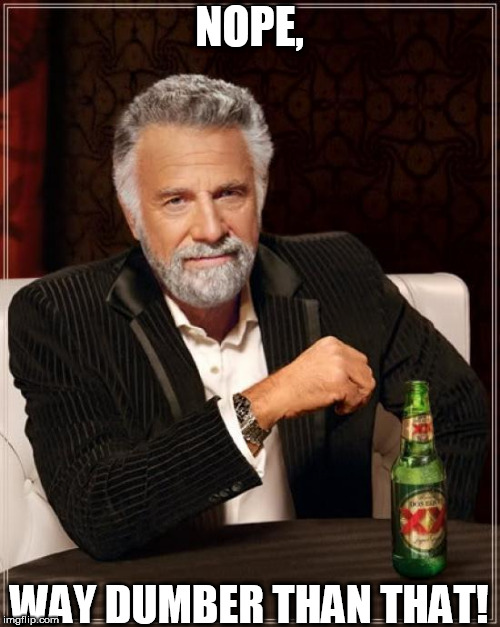 The Most Interesting Man In The World Meme | NOPE, WAY DUMBER THAN THAT! | image tagged in memes,the most interesting man in the world | made w/ Imgflip meme maker