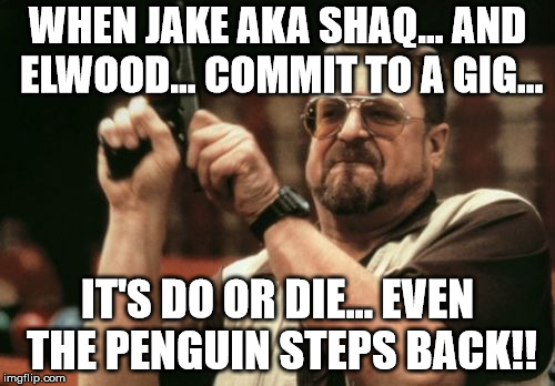Am I The Only One Around Here | WHEN JAKE AKA SHAQ... AND ELWOOD... COMMIT TO A GIG... IT'S DO OR DIE... EVEN THE PENGUIN STEPS BACK!! | image tagged in memes,am i the only one around here | made w/ Imgflip meme maker