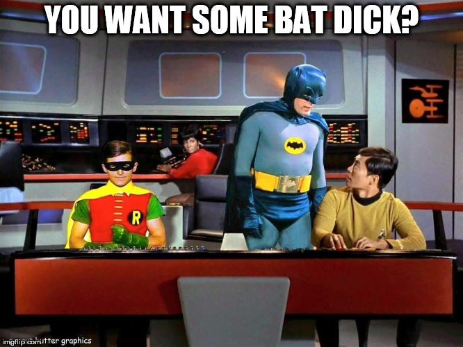 Batman Star Trek  | YOU WANT SOME BAT DICK? | image tagged in batman star trek | made w/ Imgflip meme maker