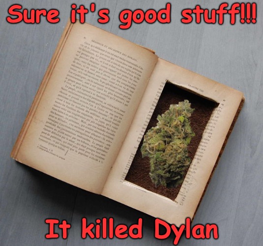 Paul's Stash, the stuff that killed Dylan. | Sure it's good stuff!!! It killed Dylan | image tagged in dylan,stash,paul the alien | made w/ Imgflip meme maker