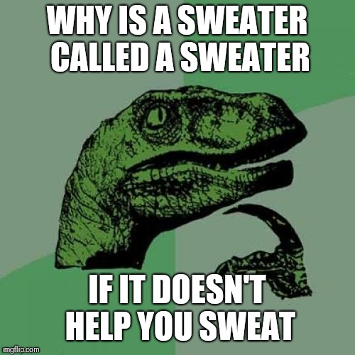 Philosoraptor Meme | WHY IS A SWEATER CALLED A SWEATER; IF IT DOESN'T HELP YOU SWEAT | image tagged in memes,philosoraptor | made w/ Imgflip meme maker