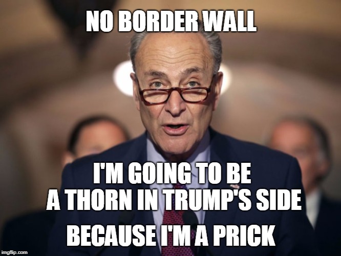 Idiot Chuck Schumer! | NO BORDER WALL; I'M GOING TO BE A THORN IN TRUMP'S SIDE; BECAUSE I'M A PRICK | image tagged in idiot chuck schumer | made w/ Imgflip meme maker