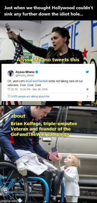 image tagged in further down the idiot hole,alyssa milano,tweet,gofundthewall campaign,brian kolfage | made w/ Imgflip meme maker