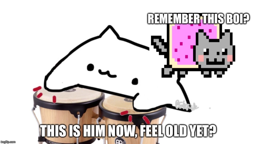 Bongo Cat | REMEMBER THIS BOI? THIS IS HIM NOW, FEEL OLD YET? | image tagged in bongo cat | made w/ Imgflip meme maker