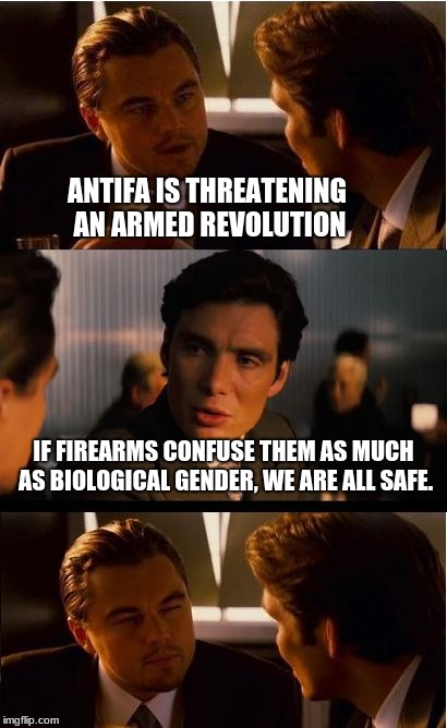 ANTIFA threats, less powerful than a gentle breeze. | ANTIFA IS THREATENING AN ARMED REVOLUTION; IF FIREARMS CONFUSE THEM AS MUCH AS BIOLOGICAL GENDER, WE ARE ALL SAFE. | image tagged in memes,inception,antifa idiots,commies suck,gender confusion | made w/ Imgflip meme maker