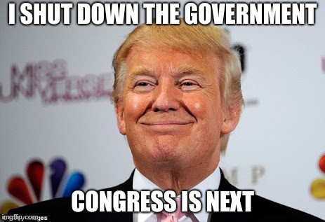 Thank you Mr President, fire them all. | I SHUT DOWN THE GOVERNMENT; CONGRESS IS NEXT | image tagged in donald trump approves,fire congress,congress suxks,never vote incumbent,build the wall | made w/ Imgflip meme maker