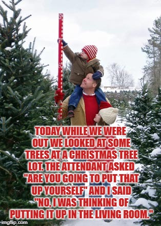 Christmas tree farm | TODAY WHILE WE WERE OUT WE LOOKED AT SOME TREES AT A CHRISTMAS TREE LOT. THE ATTENDANT ASKED "ARE YOU GOING TO PUT THAT UP YOURSELF" AND I SAID "NO, I WAS THINKING OF PUTTING IT UP IN THE LIVING ROOM." | image tagged in christmas tree farm,funny,memes,funny memes,christmas | made w/ Imgflip meme maker