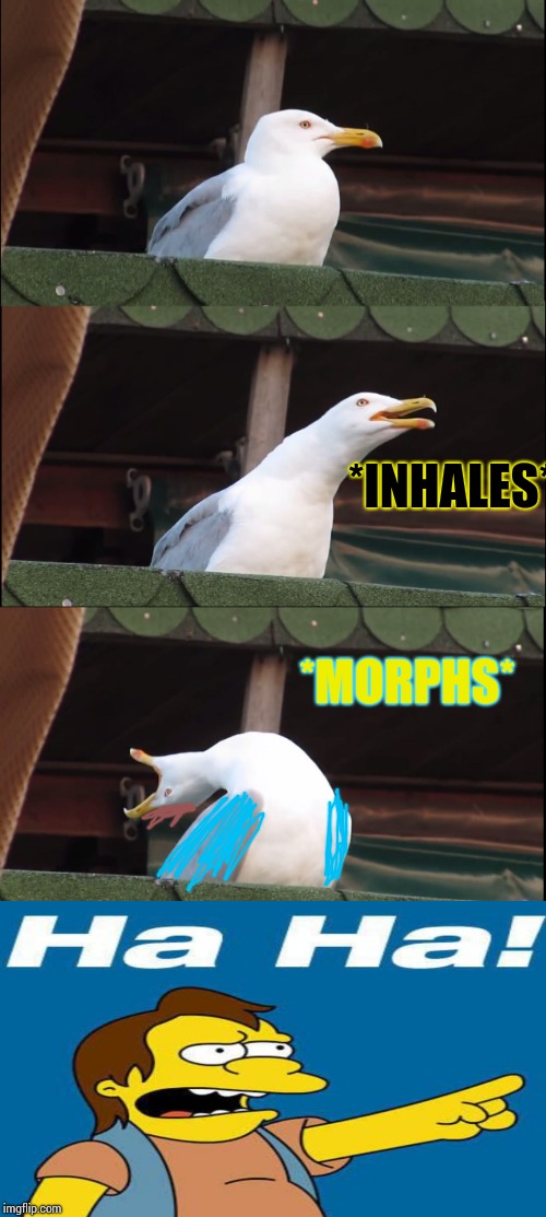 Inhaling Seagull Meme | *INHALES* *MORPHS* | image tagged in memes,inhaling seagull | made w/ Imgflip meme maker