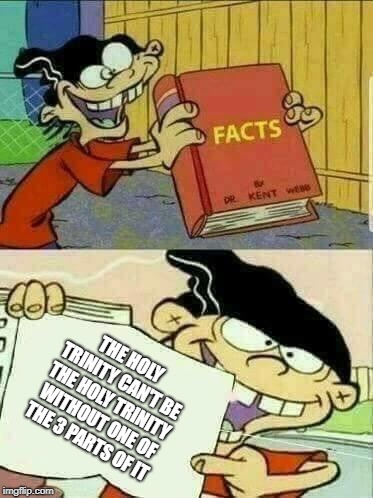 Double d facts book  | THE HOLY TRINITY CAN'T BE THE HOLY TRINITY WITHOUT ONE OF THE 3 PARTS OF IT | image tagged in double d facts book | made w/ Imgflip meme maker