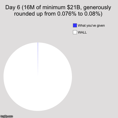 Day 6 (16M of minimum $21B, generously rounded up from 0.076% to 0.08%) | WALL, What you've given | image tagged in funny,pie charts | made w/ Imgflip chart maker