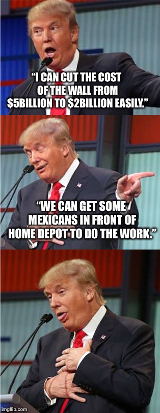 Bad Pun Trump | “I CAN CUT THE COST OF THE WALL FROM $5BILLION TO $2BILLION EASILY.”; “WE CAN GET SOME MEXICANS IN FRONT OF HOME DEPOT TO DO THE WORK.” | image tagged in bad pun trump | made w/ Imgflip meme maker