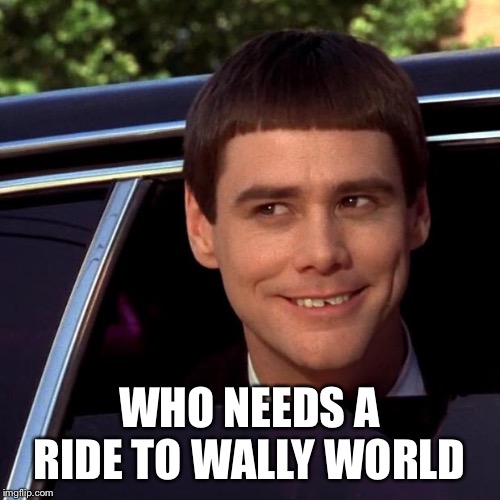 Dumb and Dumber | WHO NEEDS A RIDE TO WALLY WORLD | image tagged in dumb and dumber | made w/ Imgflip meme maker