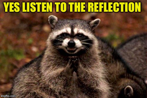 Evil Plotting Raccoon Meme | YES LISTEN TO THE REFLECTION | image tagged in memes,evil plotting raccoon | made w/ Imgflip meme maker