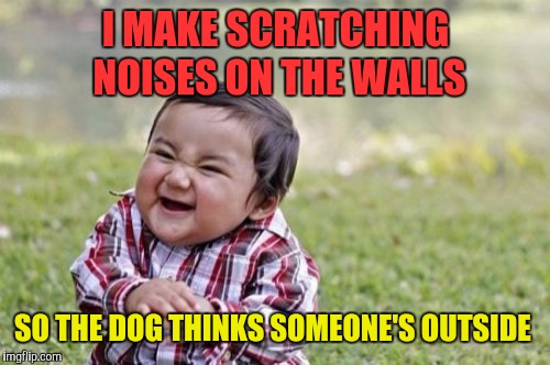Evil Toddler Meme | I MAKE SCRATCHING NOISES ON THE WALLS SO THE DOG THINKS SOMEONE'S OUTSIDE | image tagged in memes,evil toddler | made w/ Imgflip meme maker