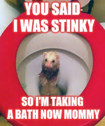 Ferret meme I randomly made up | YOU SAID I WAS STINKY; SO I'M TAKING A BATH NOW MOMMY | image tagged in funny memes,ferrets | made w/ Imgflip meme maker