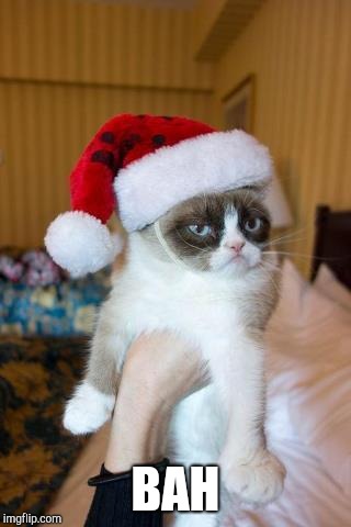 Grumpy Cat Christmas Meme | BAH | image tagged in memes,grumpy cat christmas,grumpy cat | made w/ Imgflip meme maker