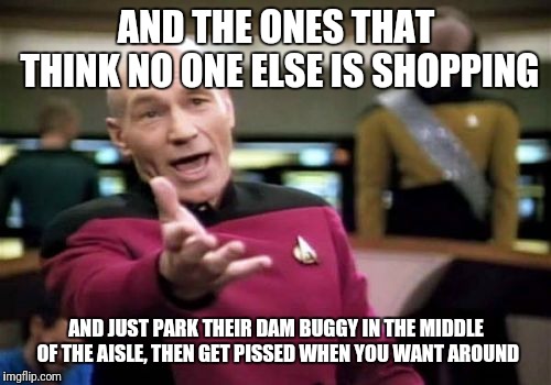 Picard Wtf Meme | AND THE ONES THAT THINK NO ONE ELSE IS SHOPPING AND JUST PARK THEIR DAM BUGGY IN THE MIDDLE OF THE AISLE, THEN GET PISSED WHEN YOU WANT AROU | image tagged in memes,picard wtf | made w/ Imgflip meme maker