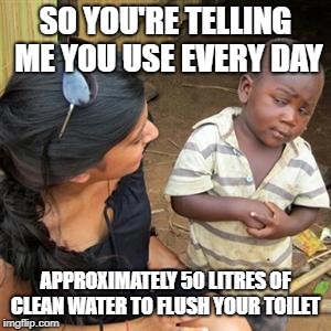 so youre telling me | SO YOU'RE TELLING ME YOU USE EVERY DAY; APPROXIMATELY 50 LITRES OF CLEAN WATER TO FLUSH YOUR TOILET | image tagged in so youre telling me | made w/ Imgflip meme maker