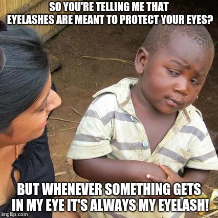 How eyeronic.  | SO YOU'RE TELLING ME THAT EYELASHES ARE MEANT TO PROTECT YOUR EYES? BUT WHENEVER SOMETHING GETS IN MY EYE IT'S ALWAYS MY EYELASH! | image tagged in memes,third world skeptical kid | made w/ Imgflip meme maker