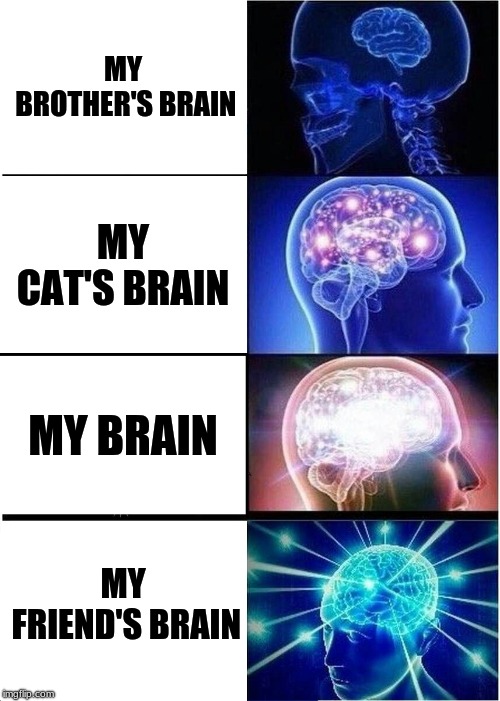 Expanding Brain | MY BROTHER'S BRAIN; MY CAT'S BRAIN; MY BRAIN; MY FRIEND'S BRAIN | image tagged in memes,expanding brain | made w/ Imgflip meme maker