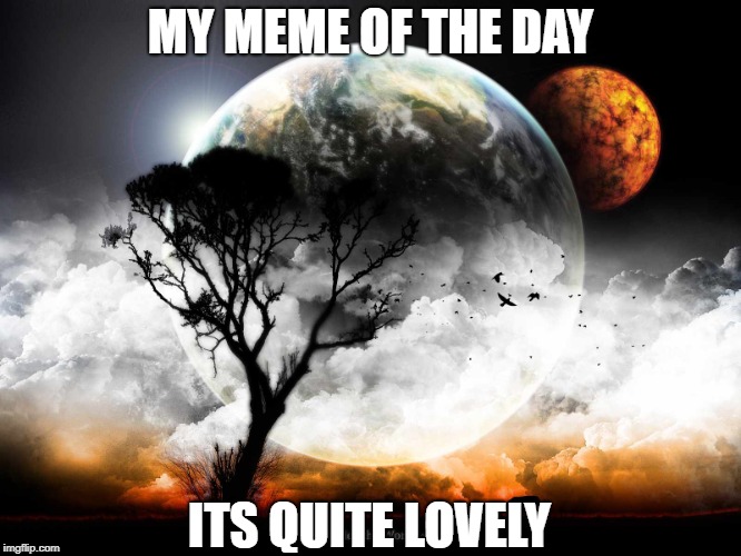 Fly fly birdies  | MY MEME OF THE DAY; ITS QUITE LOVELY | image tagged in coolness,nice pic,works,memers unite | made w/ Imgflip meme maker