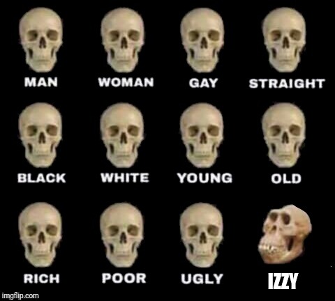 Izzy's the idiot | IZZY | image tagged in idiot skull,izzy | made w/ Imgflip meme maker