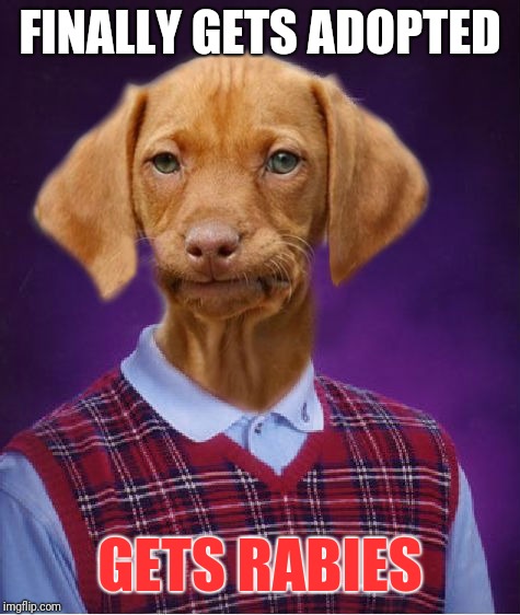 Bad Luck Raydog | FINALLY GETS ADOPTED; GETS RABIES | image tagged in bad luck raydog | made w/ Imgflip meme maker