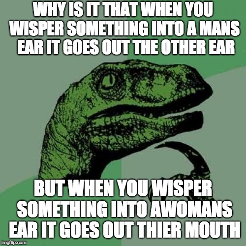 Philosoraptor | WHY IS IT THAT WHEN YOU WISPER SOMETHING INTO A MANS  EAR IT GOES OUT THE OTHER EAR; BUT WHEN YOU WISPER SOMETHING INTO AWOMANS EAR IT GOES OUT THIER MOUTH | image tagged in memes,philosoraptor | made w/ Imgflip meme maker