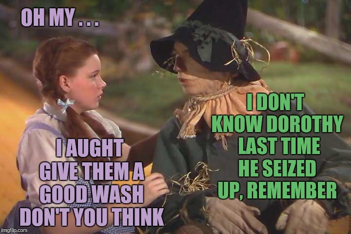 Dorothy and scarecrow | OH MY . . . I AUGHT GIVE THEM A GOOD WASH DON'T YOU THINK I DON'T KNOW DOROTHY  LAST TIME HE SEIZED UP, REMEMBER | image tagged in dorothy and scarecrow | made w/ Imgflip meme maker