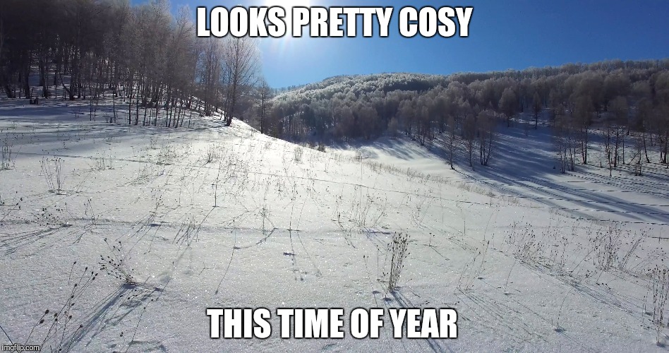 LOOKS PRETTY COSY THIS TIME OF YEAR | made w/ Imgflip meme maker