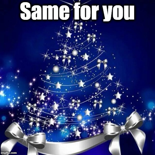 Merry Christmas  | Same for you | image tagged in merry christmas | made w/ Imgflip meme maker