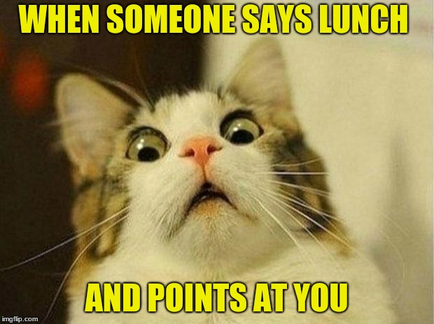 Scared Cat Meme | WHEN SOMEONE SAYS
LUNCH; AND POINTS AT YOU | image tagged in memes,scared cat | made w/ Imgflip meme maker