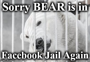 Sorry BEAR is in; Facebook Jail Again | image tagged in fbjil | made w/ Imgflip meme maker