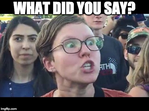 Angry sjw | WHAT DID YOU SAY? | image tagged in angry sjw | made w/ Imgflip meme maker