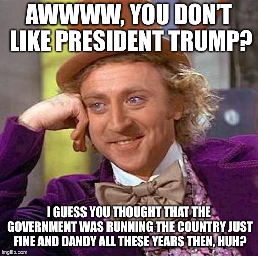 Trump was the result of people fed up with our government.   | AWWWW, YOU DON’T LIKE PRESIDENT TRUMP? I GUESS YOU THOUGHT THAT THE GOVERNMENT WAS RUNNING THE COUNTRY JUST FINE AND DANDY ALL THESE YEARS THEN, HUH? | image tagged in memes,creepy condescending wonka,maga | made w/ Imgflip meme maker