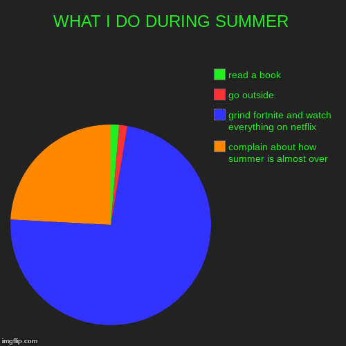 WHAT I DO DURING SUMMER | complain about how summer is almost over, grind fortnite and watch everything on netflix, go outside, read a book | image tagged in funny,pie charts | made w/ Imgflip chart maker