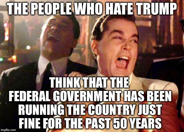 “Let’s shut the government down and see if anyone even notices...”. -  who said that? | THE PEOPLE WHO HATE TRUMP; THINK THAT THE FEDERAL GOVERNMENT HAS BEEN RUNNING THE COUNTRY JUST FINE FOR THE PAST 50 YEARS | image tagged in goodfellas laugh,maga | made w/ Imgflip meme maker