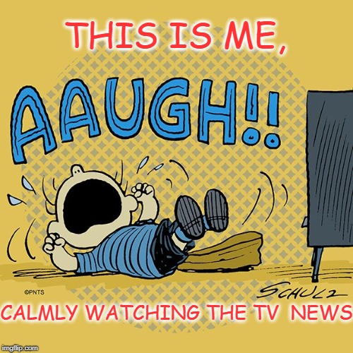 Meet the Press? I'm not ready to Face the Nation | THIS IS ME, CALMLY WATCHING THE TV  NEWS | image tagged in linus vanpelt,tv | made w/ Imgflip meme maker