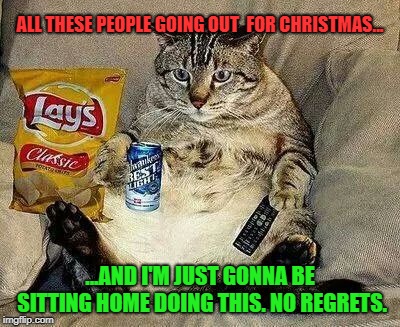 There's No Place Like HOME For The Holidays | ALL THESE PEOPLE GOING OUT  FOR CHRISTMAS... ...AND I'M JUST GONNA BE SITTING HOME DOING THIS. NO REGRETS. | image tagged in funny,christmas,fat cat | made w/ Imgflip meme maker