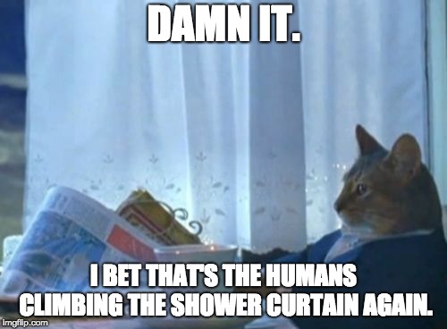 I Should Buy A Boat Cat | DAMN IT. I BET THAT'S THE HUMANS CLIMBING THE SHOWER CURTAIN AGAIN. | image tagged in memes,i should buy a boat cat | made w/ Imgflip meme maker