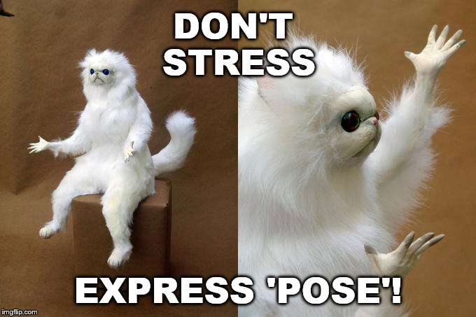Persian Cat Room Guardian Meme | DON'T STRESS; EXPRESS 'POSE'! | image tagged in memes,persian cat room guardian,scumbag | made w/ Imgflip meme maker