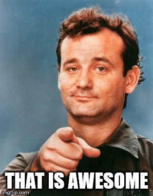 Bill Murray You're Awesome | THAT IS AWESOME | image tagged in bill murray you're awesome | made w/ Imgflip meme maker