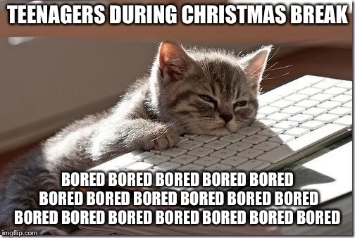 Anyone relate? | TEENAGERS DURING CHRISTMAS BREAK; BORED BORED BORED BORED BORED BORED BORED BORED BORED BORED BORED BORED BORED BORED BORED BORED BORED BORED | image tagged in bored keyboard cat,bored,teenagers,christmas | made w/ Imgflip meme maker